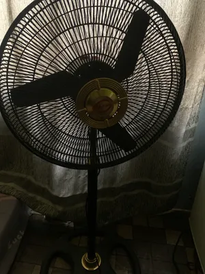 My fan standing fan 